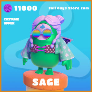 sage legendary costume upper fall guys