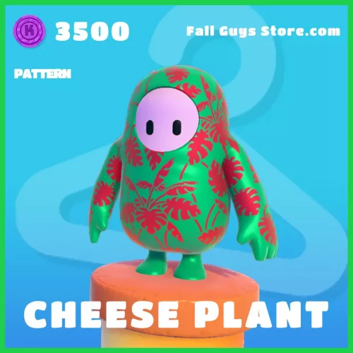 cheese-plant