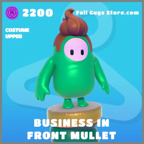 BUSINESS-IN-FRONT-MULLET